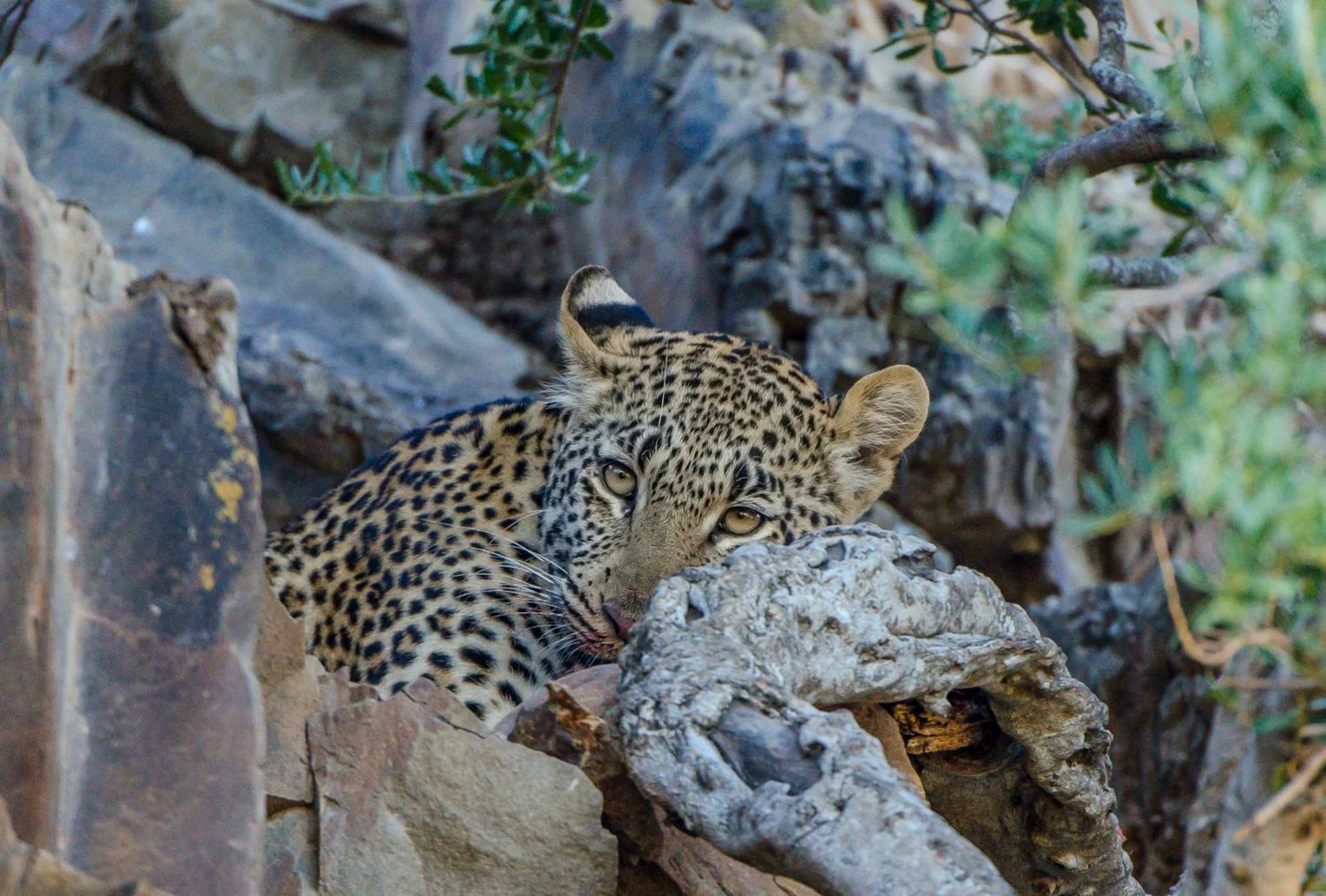 Kwandwe Private Game Reserve - Great Fish River Lodge เกรแฮมส์ทาวน์ ภายนอก รูปภาพ