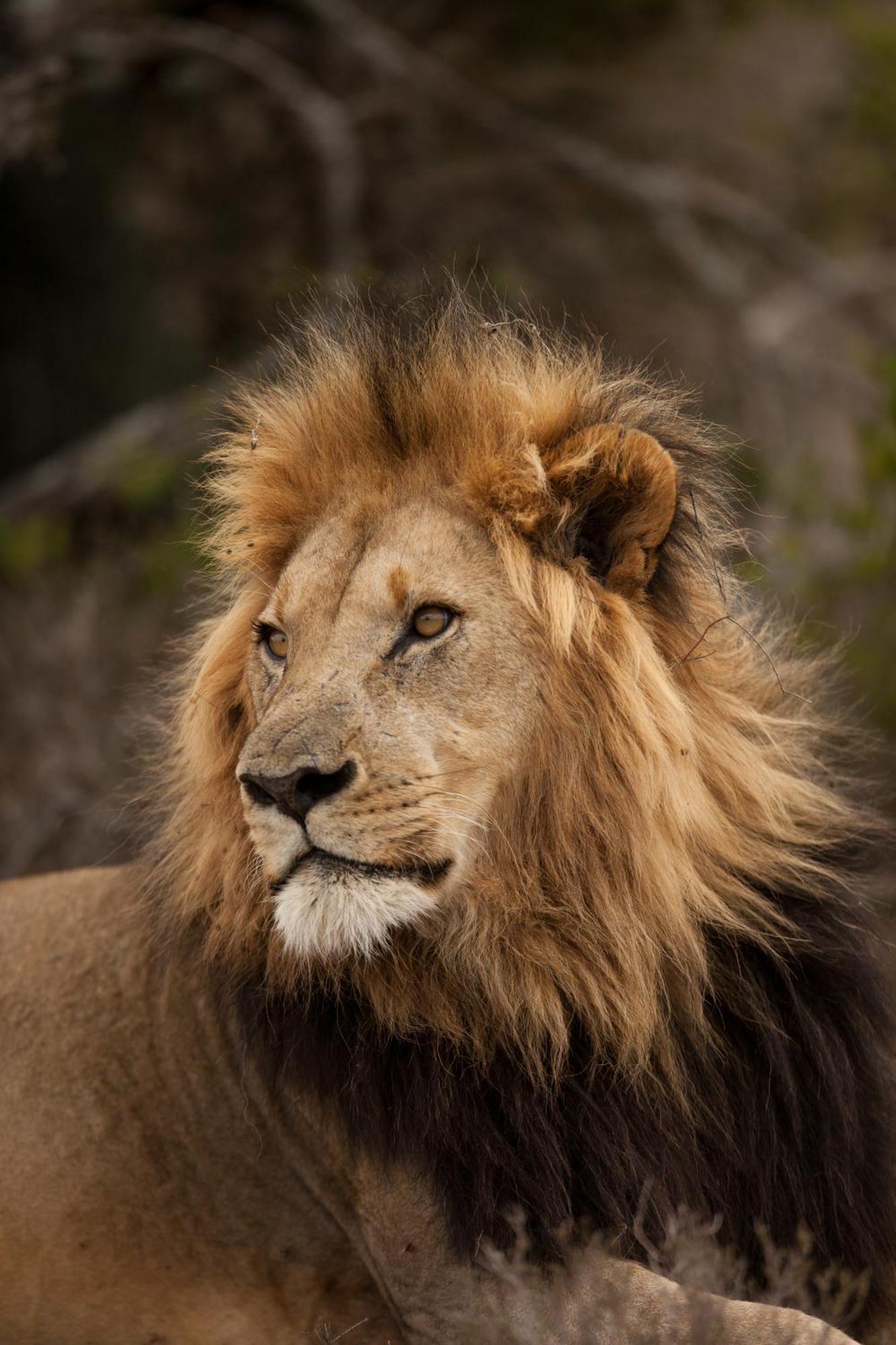 Kwandwe Private Game Reserve - Great Fish River Lodge เกรแฮมส์ทาวน์ ภายนอก รูปภาพ