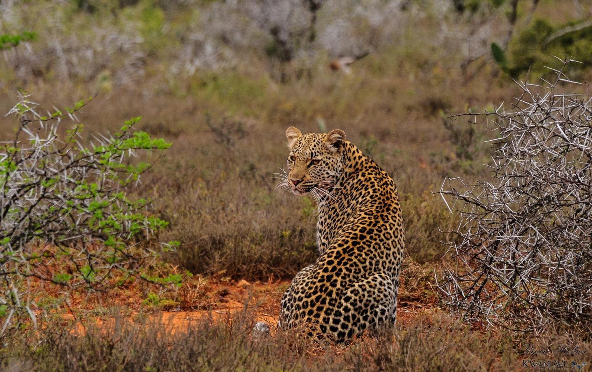 Kwandwe Private Game Reserve - Great Fish River Lodge เกรแฮมส์ทาวน์ ภายนอก รูปภาพ