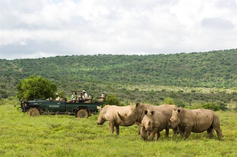 Kwandwe Private Game Reserve - Great Fish River Lodge เกรแฮมส์ทาวน์ ภายนอก รูปภาพ