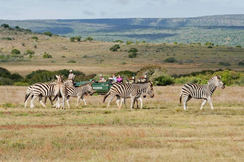 Kwandwe Private Game Reserve - Great Fish River Lodge เกรแฮมส์ทาวน์ ภายนอก รูปภาพ