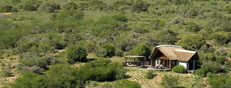 Kwandwe Private Game Reserve - Great Fish River Lodge เกรแฮมส์ทาวน์ ภายนอก รูปภาพ