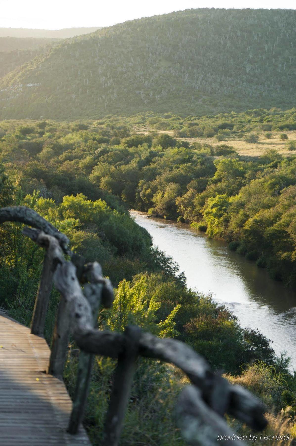 Kwandwe Private Game Reserve - Great Fish River Lodge เกรแฮมส์ทาวน์ ภายนอก รูปภาพ