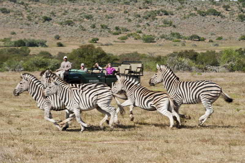 Kwandwe Private Game Reserve - Great Fish River Lodge เกรแฮมส์ทาวน์ ภายนอก รูปภาพ